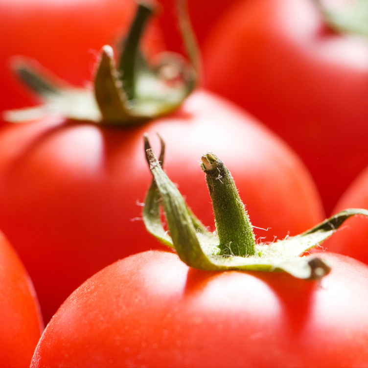 Juicy-Tomatoes-2