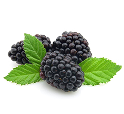 Blackberry