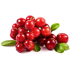 Cowberry
