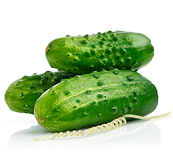 Cucumber