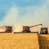 Agronomic Innovation