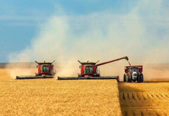 Agronomic Innovation