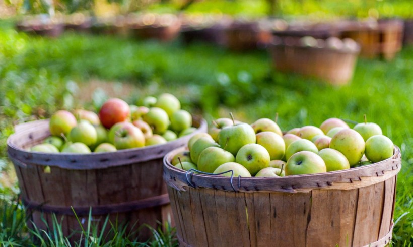 Imported Fruit and Vegetables