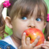 Selected Apple Breeds