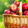 Farm-Grown Fruit