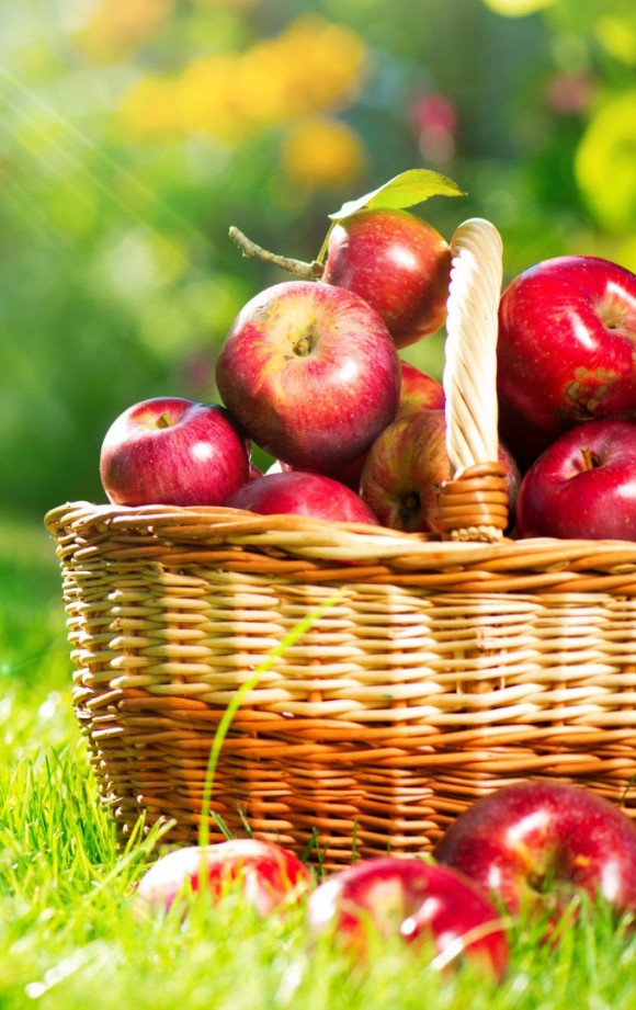 Farm-Grown Fruit